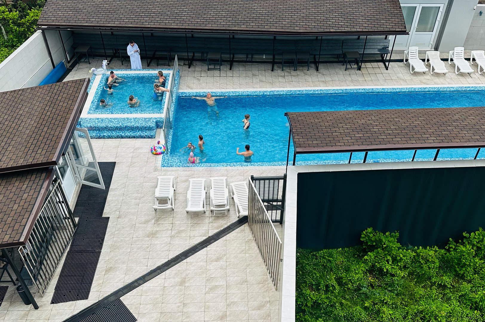 Видовой номер