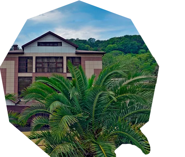 Тихий район Хосты